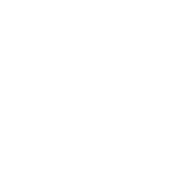 data-mining-white
