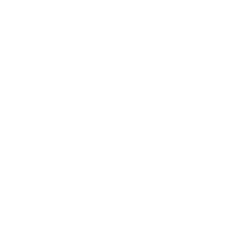 data-processing-white