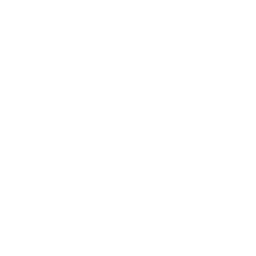 database-architecture-white